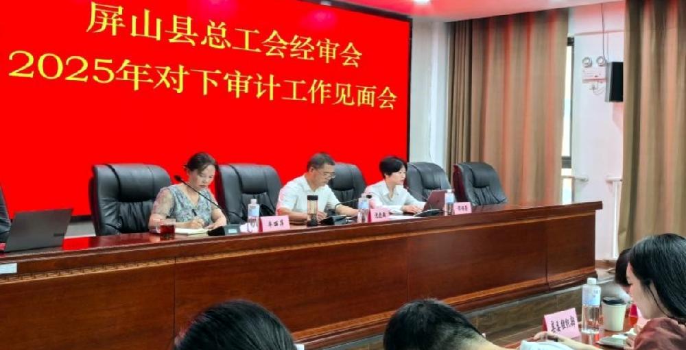 四川德文参加屏山县总工会审计工作见面会，助力工会事业规范发展