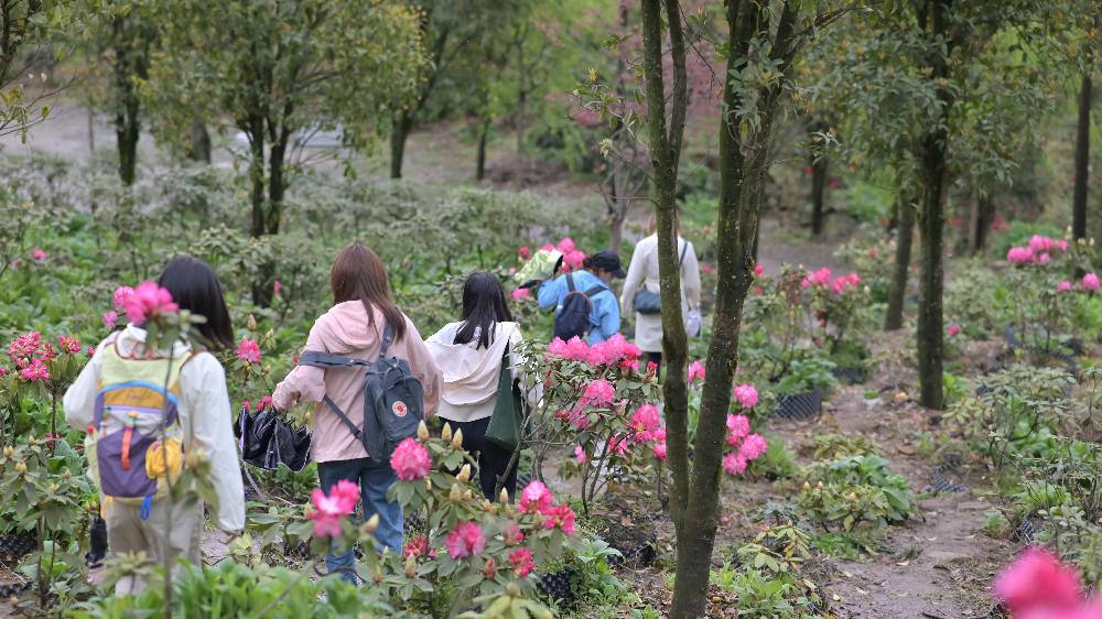 /attached/image/20260416/