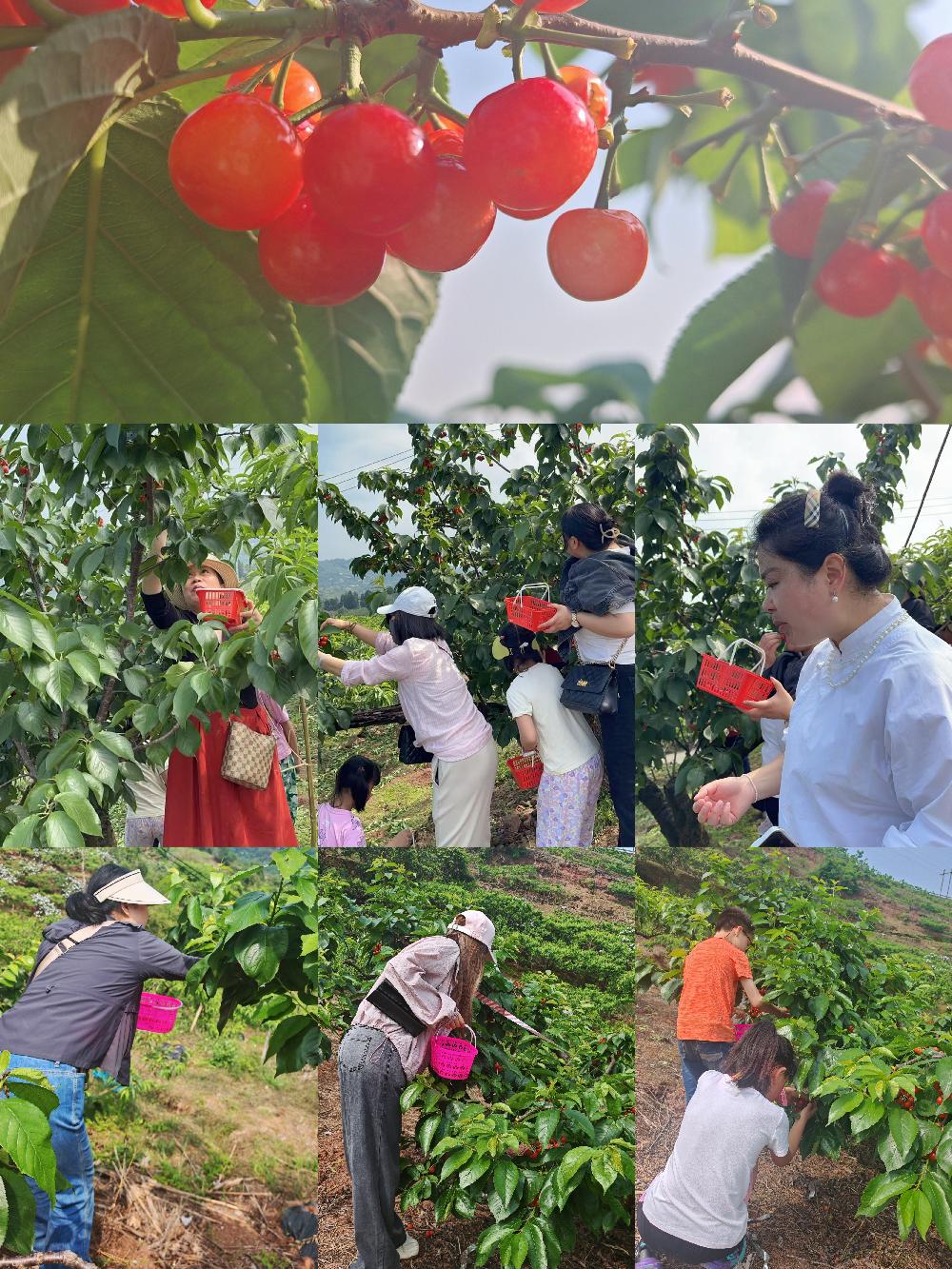 /attached/image/20260421/